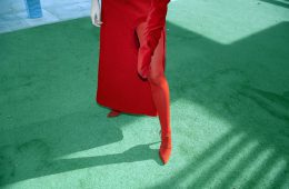 red-marygarlic-1